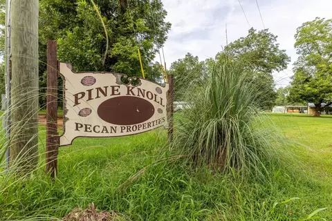 Other - 175 Pecan Rd, Cobb, GA 31735 photo 12 of 13