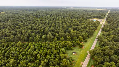 View/Area - 175 Pecan Rd, Cobb, GA 31735 photo 4 of 21
