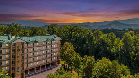 818 Golf View Blvd UNIT 1401, Pigeon Forge, TN 37863