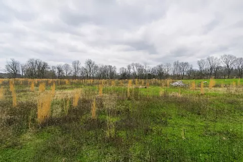 3126 Wixtown Rd, Westmoreland, TN 37186