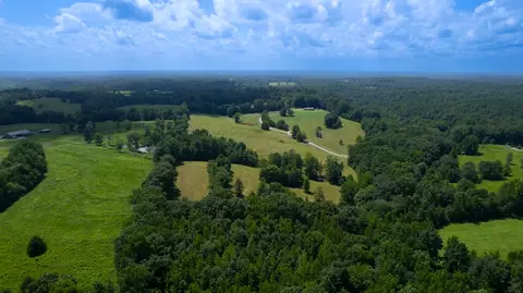 View/Area - 1501 Puncheon Branch Rd, Goodspring, TN 38460 photo 5 of 6