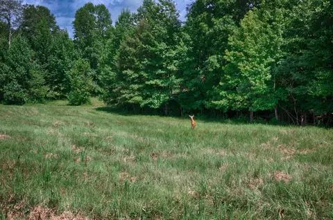 Other - 1501 Puncheon Branch Rd, Goodspring, TN 38460 photo 11 of 21