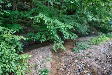 Other - 1501 Puncheon Branch Rd, Goodspring, TN 38460 photo 17 of 21