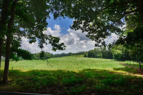 Other - 1501 Puncheon Branch Rd, Goodspring, TN 38460 photo 10 of 21