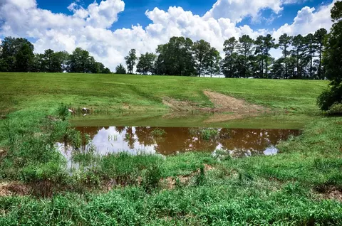 View/Area - 1501 Puncheon Branch Rd, Goodspring, TN 38460 photo 2 of 6