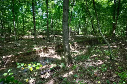 Other - 1501 Puncheon Branch Rd, Goodspring, TN 38460 photo 15 of 21