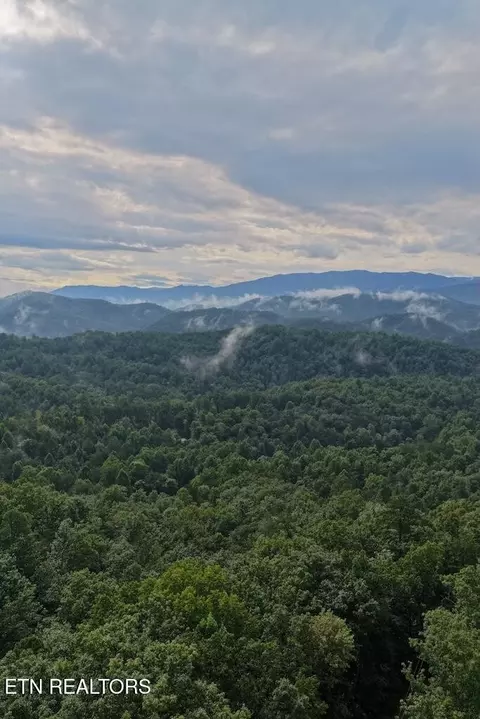 0 Lot 25 Shady Oaks Way, Sevierville, TN 37876