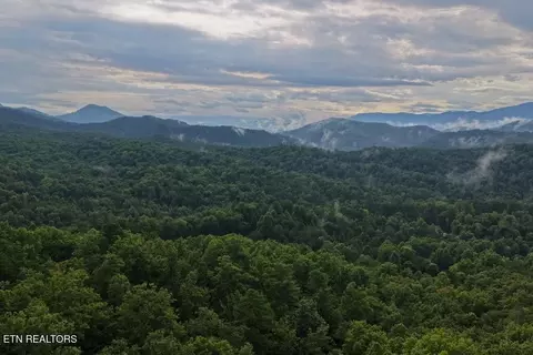 0 Lot 41 Shady Oaks Way, Sevierville, TN 37876