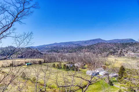 81 Stone Wood Way, Pigeon Forge, TN 37862