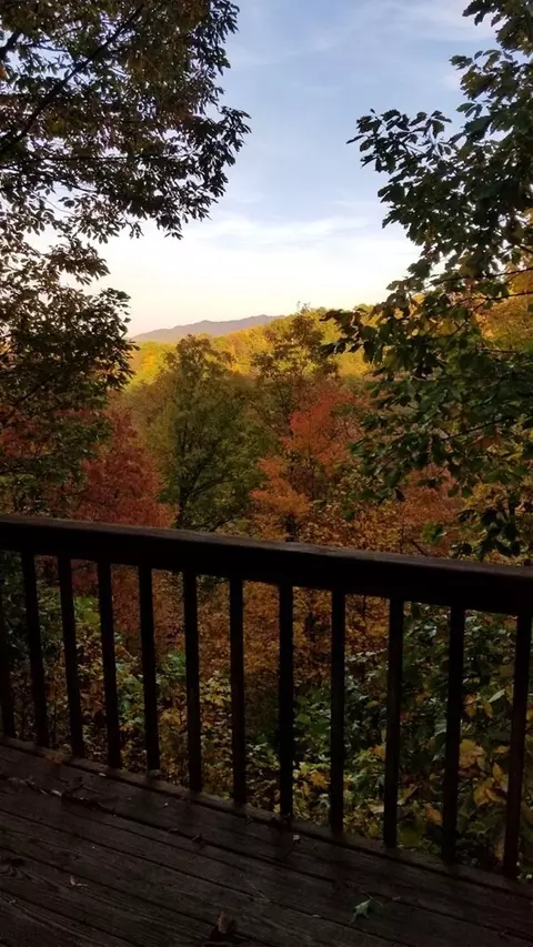 2436 East Vw, Sevierville, TN 37876 photo 9