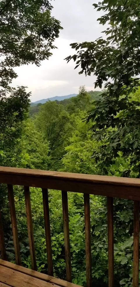 2436 East Vw, Sevierville, TN 37876 photo 8