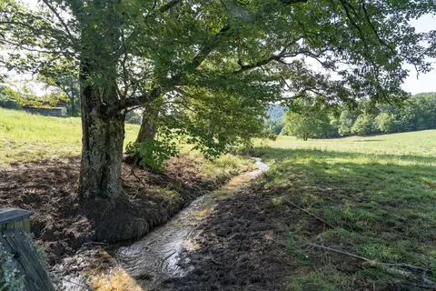 Other - 710 Donley Rd, Murphy, NC 28906 photo 37 of 44