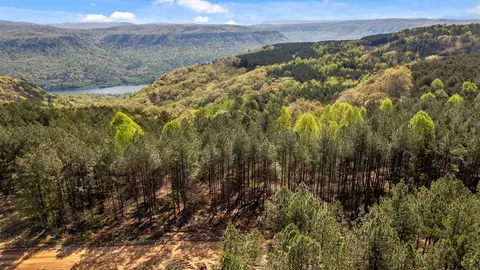 0 High Ground Rd, Guild, TN 37340 photo 8