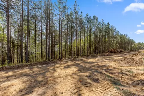 0 High Ground Rd, Guild, TN 37340 photo 14