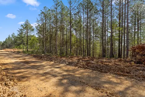 0 High Ground Rd, Guild, TN 37340 photo 3