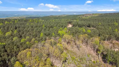 0 High Ground Rd, Guild, TN 37340 photo 12