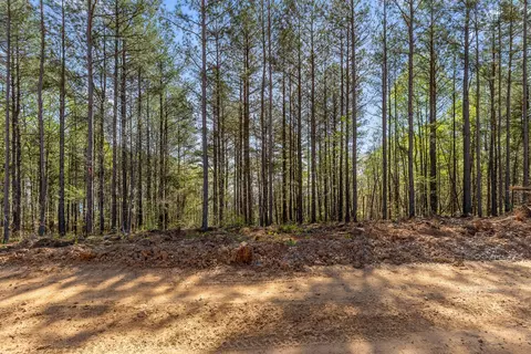 0 High Ground Rd, Guild, TN 37340 photo 2