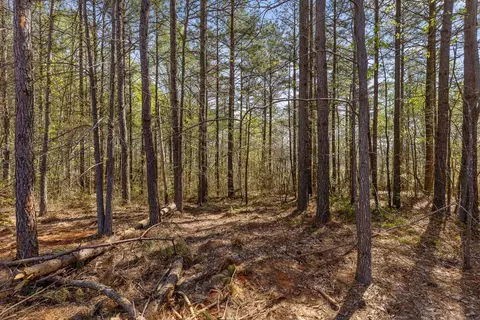 0 High Ground Rd, Guild, TN 37340 photo 4