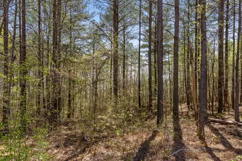 0 High Ground Rd, Guild, TN 37340 photo 5