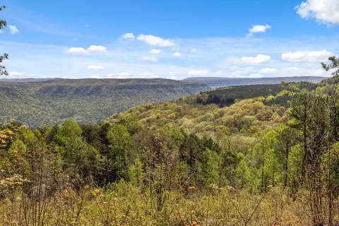 0 High Ground Rd, Guild, TN 37340 photo 6