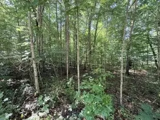 75 Sunset Bluff Way, Monteagle, TN 37356 photo 5