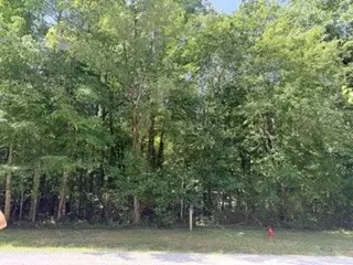 75 Sunset Bluff Way, Monteagle, TN 37356 photo 7