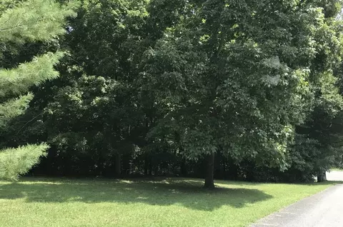0 Hazel, Centerville, TN 37033 photo 2