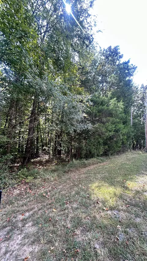 0 Hazel, Centerville, TN 37033 photo 7
