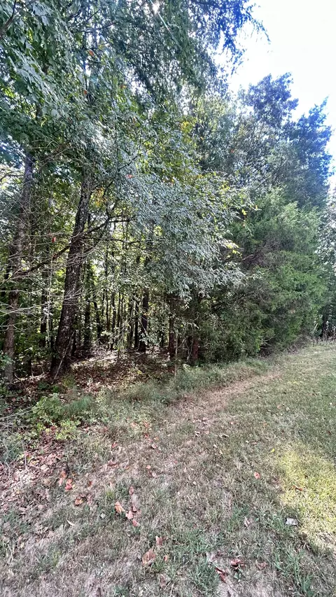 0 Hazel, Centerville, TN 37033 photo 6