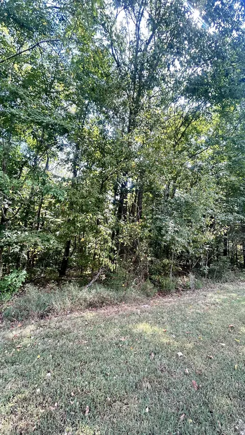 0 Hazel, Centerville, TN 37033 photo 8