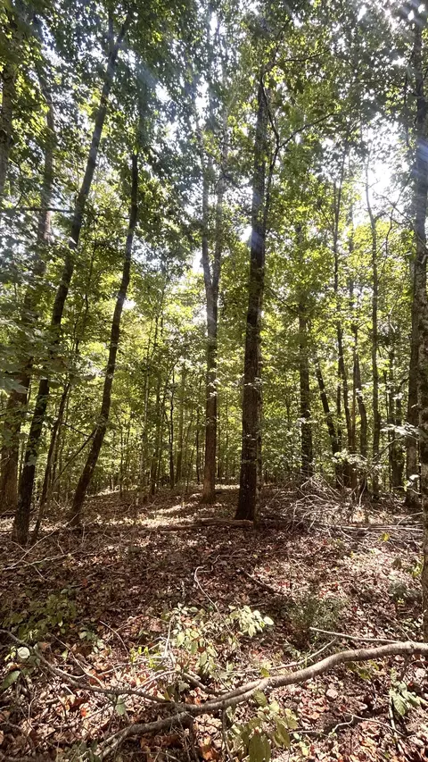 0 Hazel, Centerville, TN 37033 photo 3