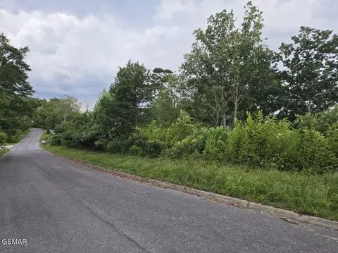 3 Shell Mountain Rd, Sevierville, TN 37876