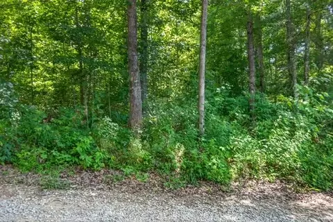 0 Eagle Ln, Sparta, TN 38583 photo 3