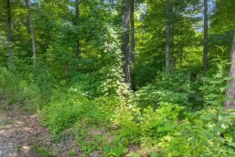0 Eagle Ln, Sparta, TN 38583 photo 5