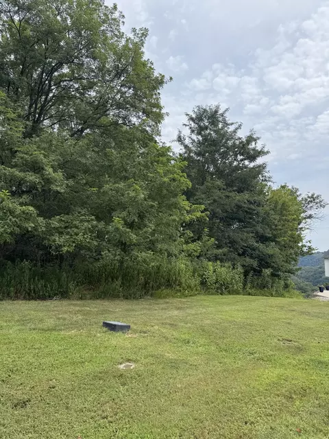 0 Shayna Ct, Smithville, TN 37166