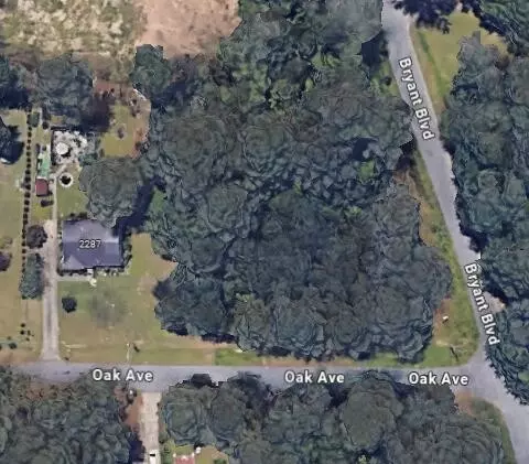0 Oak Ave, Morrow, GA 30260 photo 7
