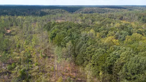 0 Mathis Hollow Rd, Centerville, TN 37033 photo 4