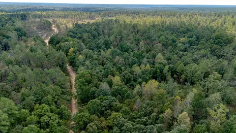 0 Mathis Hollow Rd, Centerville, TN 37033 photo 2