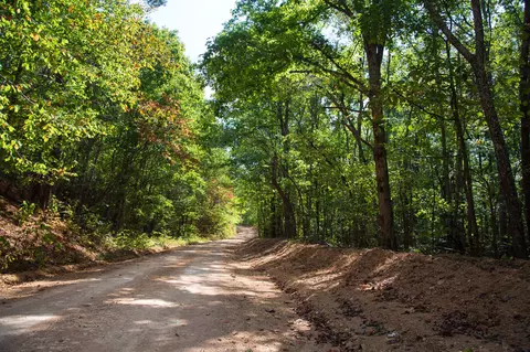 0 Mathis Hollow Rd, Centerville, TN 37033 photo 1