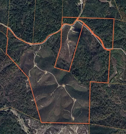 0 Low Gap Rd, Sugar Tree, TN 38380 photo 7