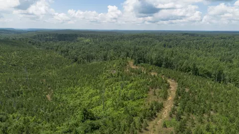 0 Low Gap Rd, Sugar Tree, TN 38380 photo 2