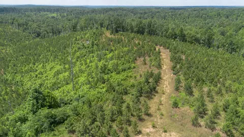 0 Low Gap Rd, Sugar Tree, TN 38380 photo 4
