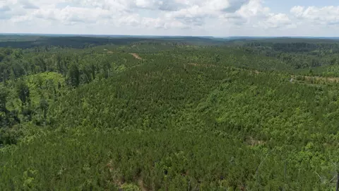 0 Low Gap Rd, Sugar Tree, TN 38380 photo 3