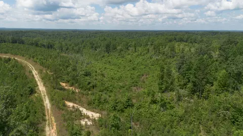 0 Low Gap Rd, Sugar Tree, TN 38380 photo 5