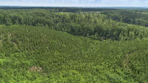 0 Low Gap Rd, Sugar Tree, TN 38380 photo 6