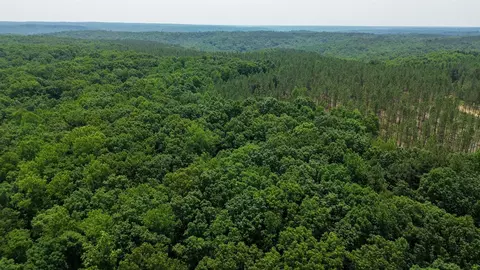 0 Mayfield Divide Rd, Centerville, TN 37033 photo 5