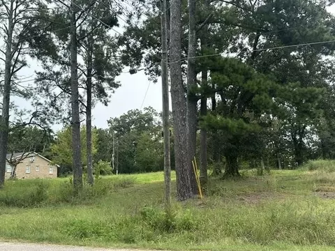 10 Drake Loop, Savannah, TN 38372 photo 3