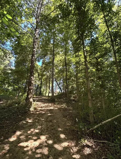 388 W Toomey Ln, Madisonville, TN 37354