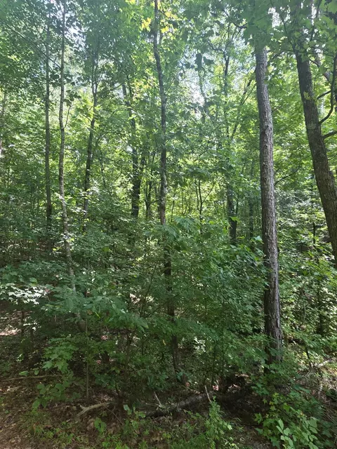 392 Quill Dr NW, Cleveland, TN 37311