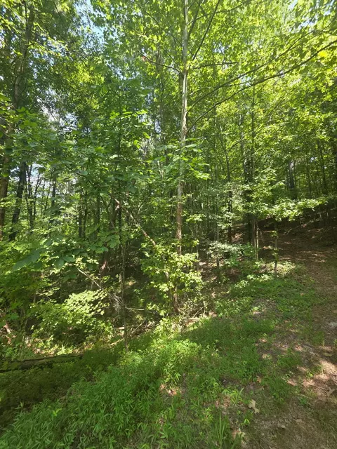 394 Quill Dr NW, Cleveland, TN 37311